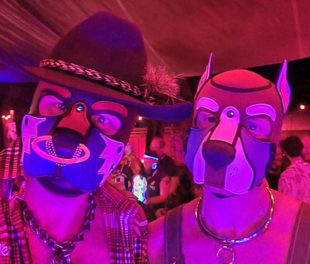 K9 2024 Bark Gallery