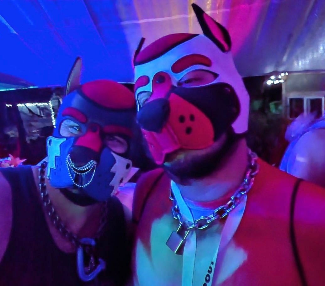 K9 2024 Bark Gallery
