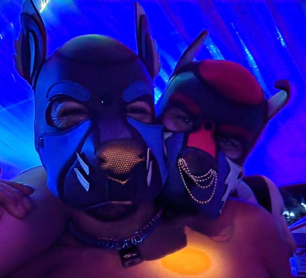 K9 2024 Bark Gallery