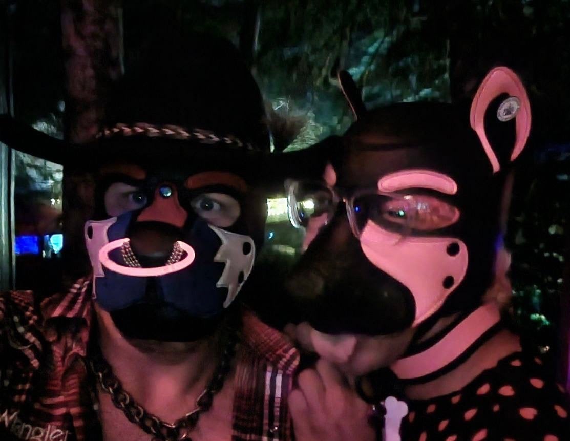 K9 2024 Bark Gallery