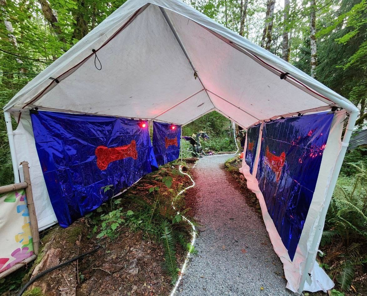K9 2024 Bark Gallery
