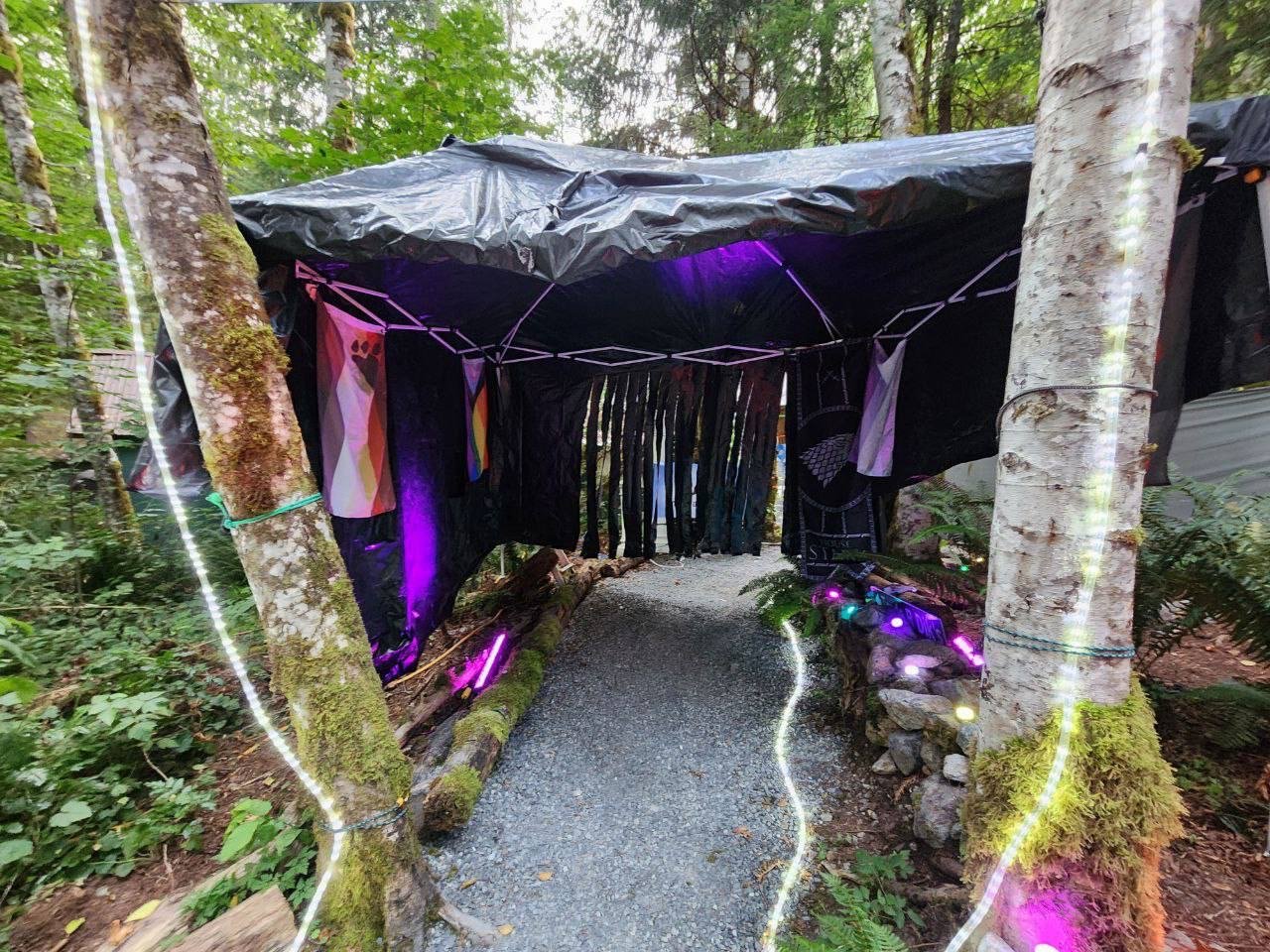 K9 2024 Bark Gallery
