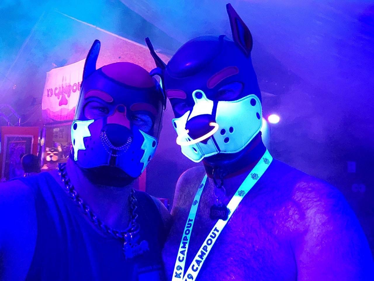 K9 2024 Bark Gallery