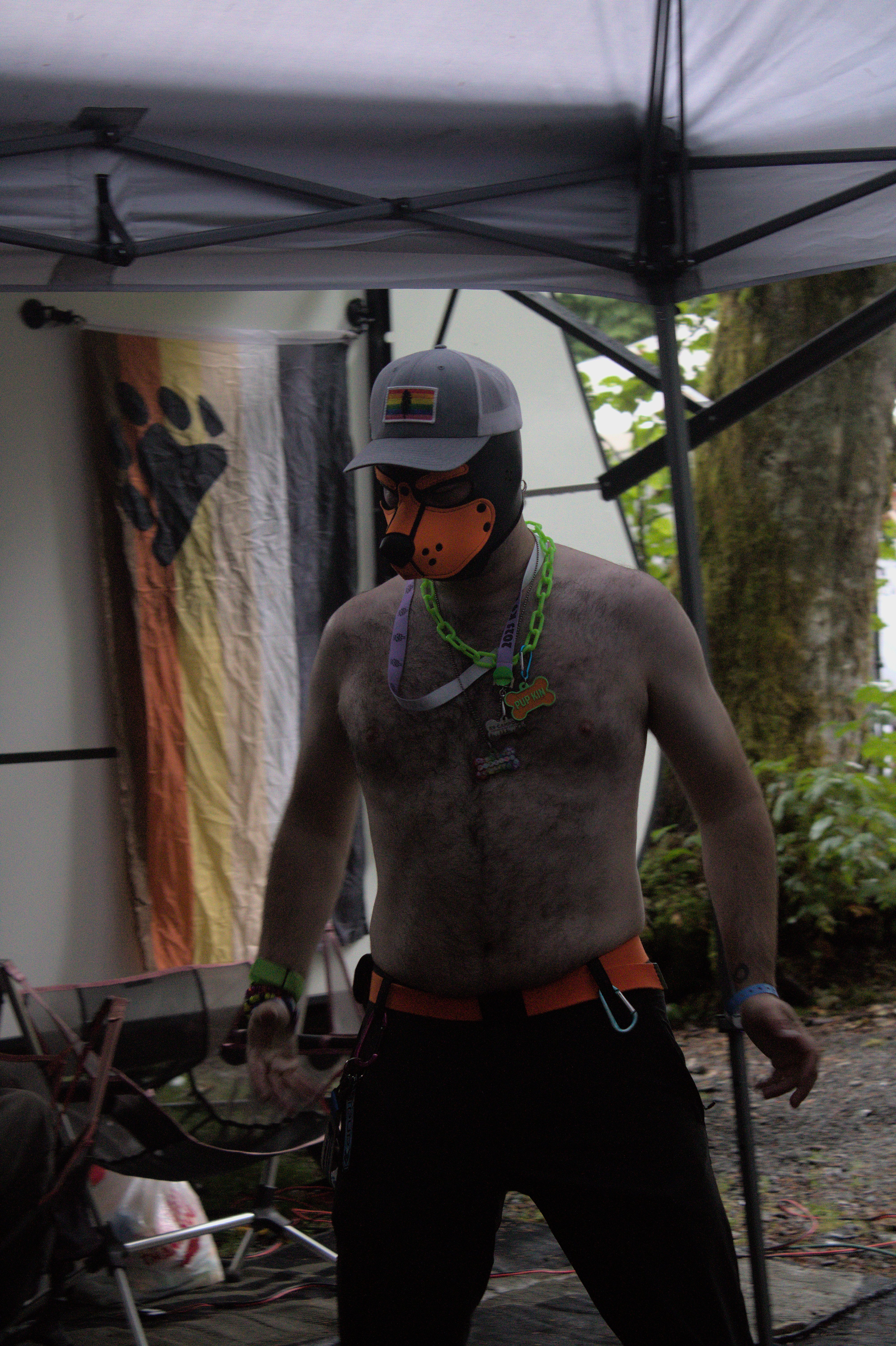 K9 2025 Bark Gallery