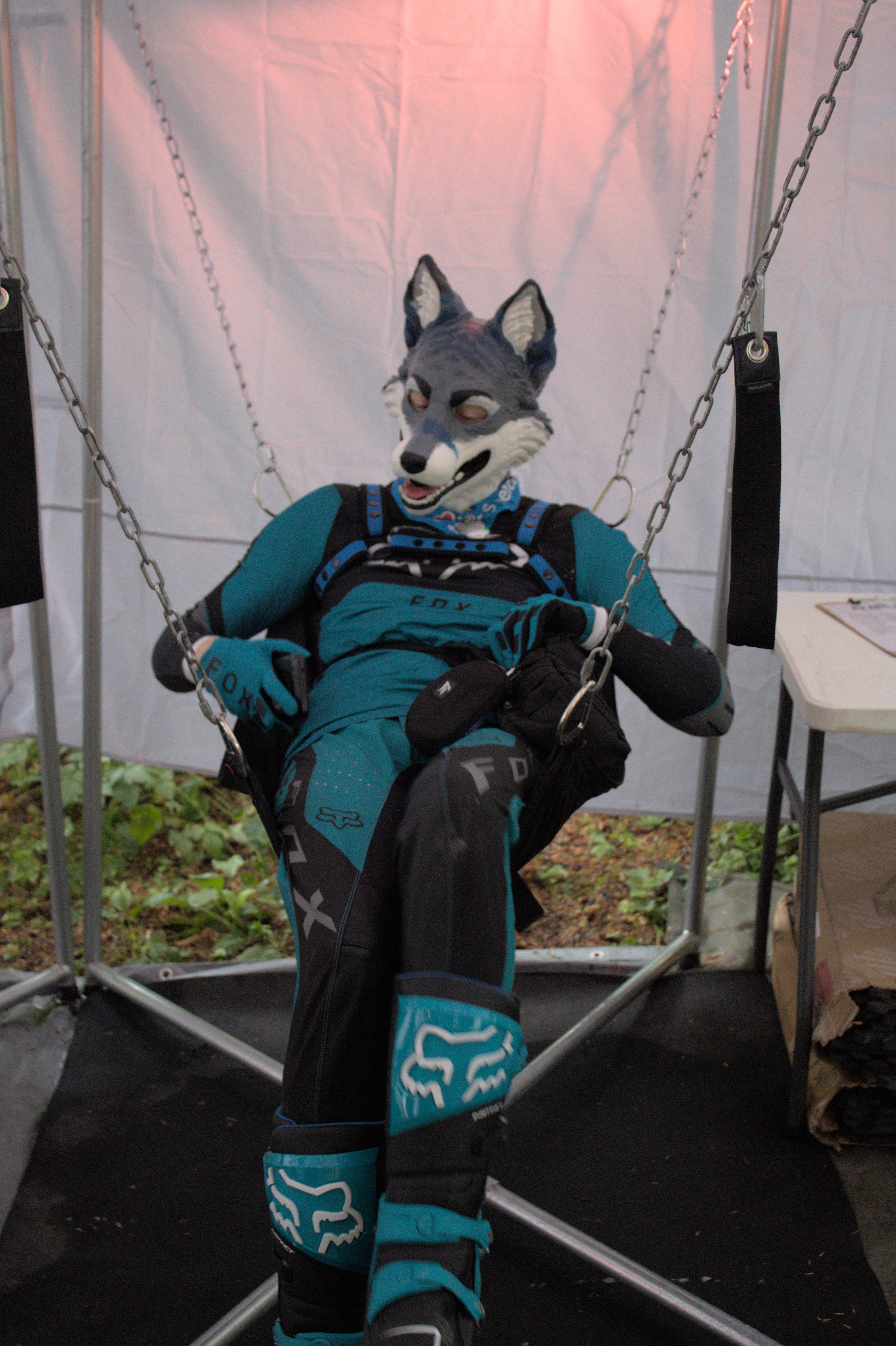 K9 2025 Bark Gallery
