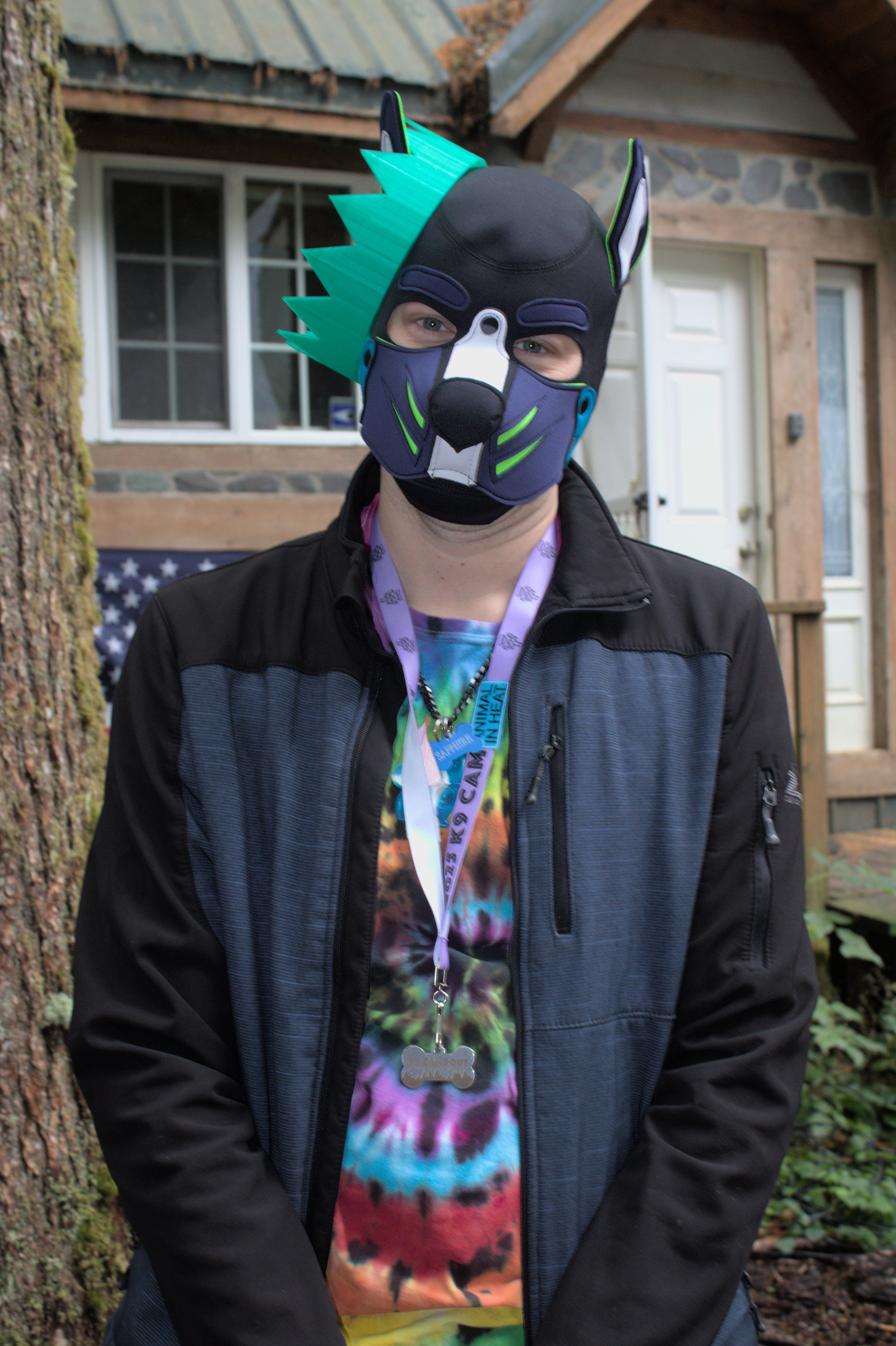 K9 2025 Bark Gallery