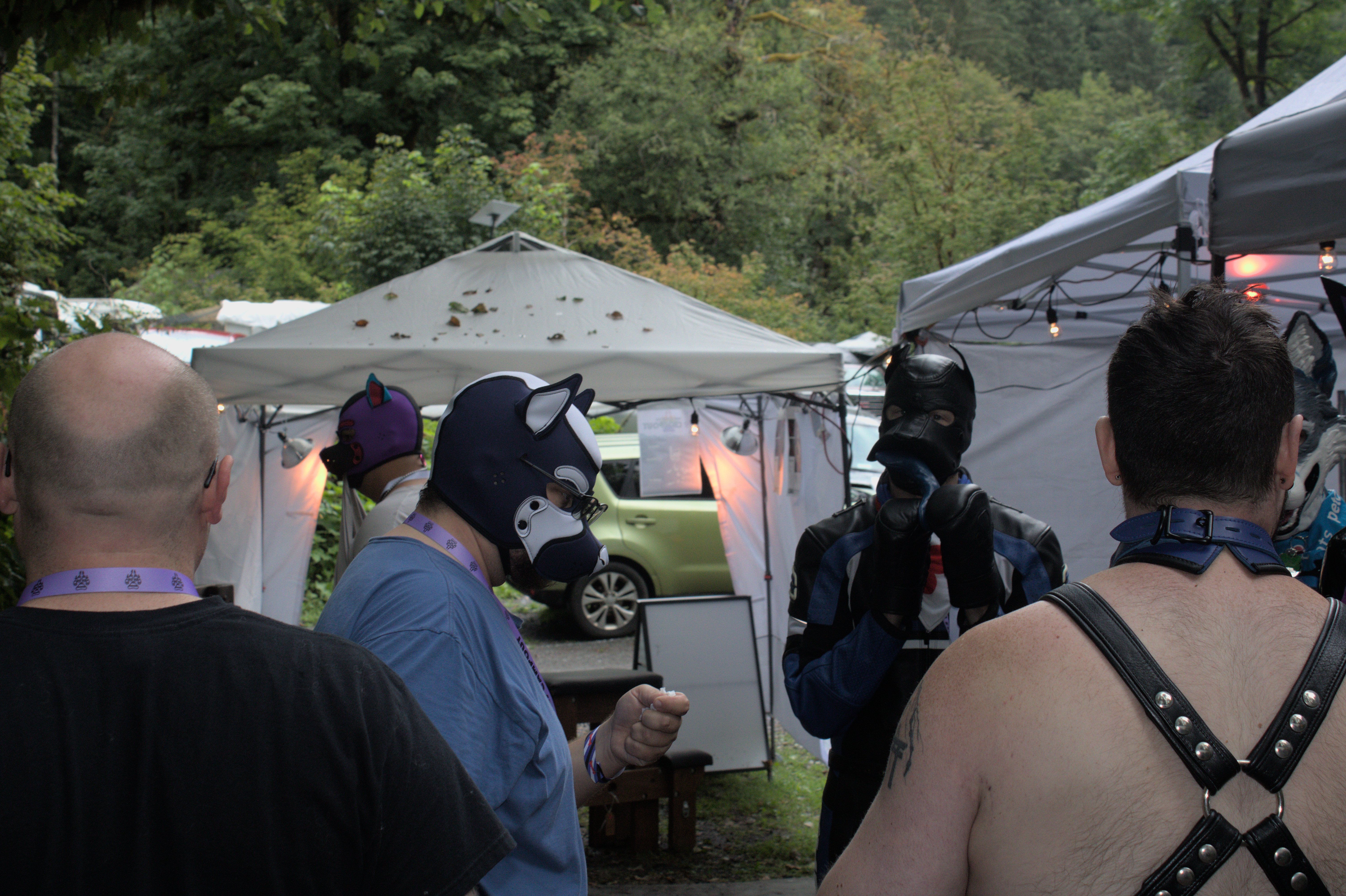 K9 2025 Bark Gallery