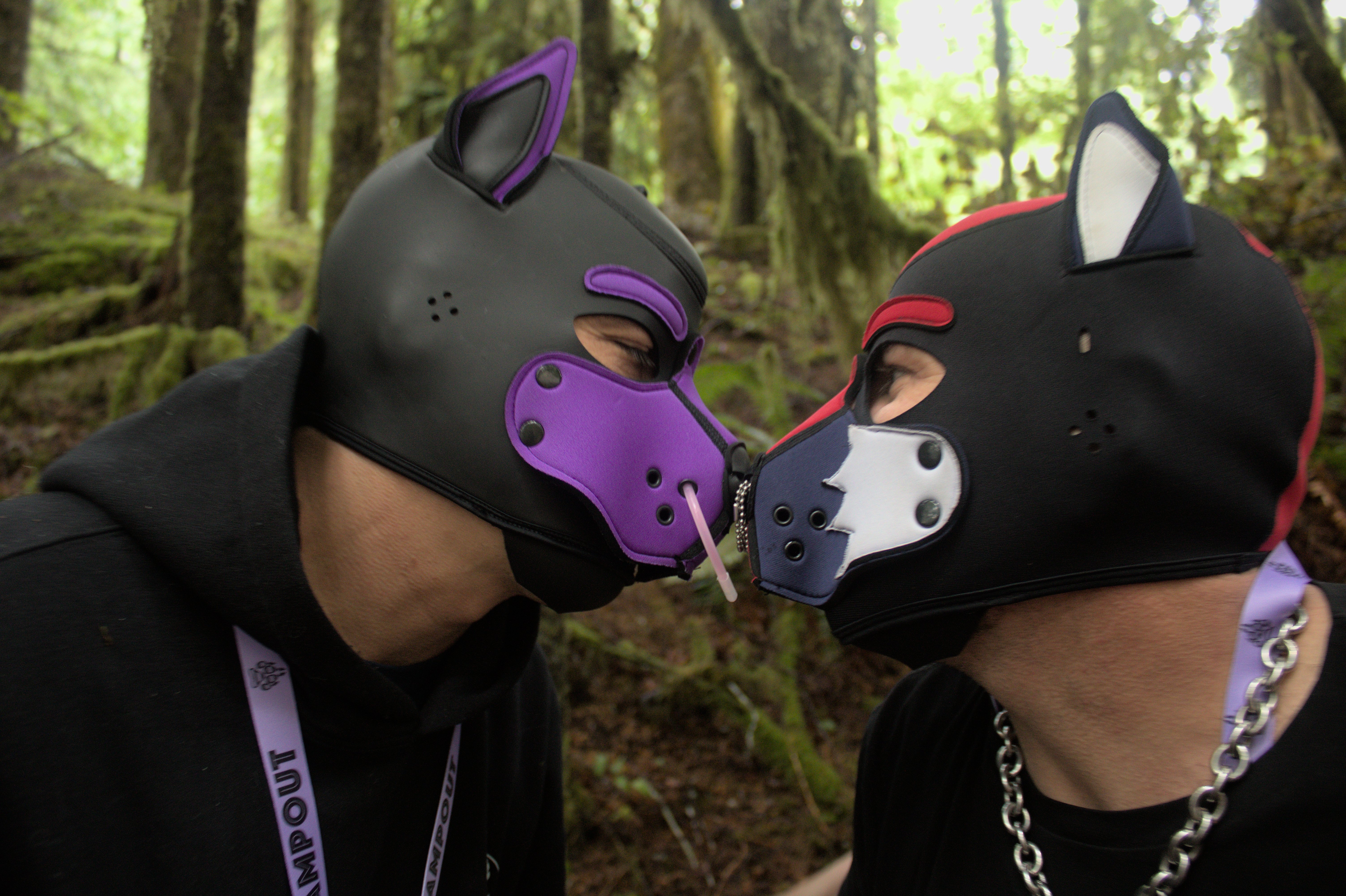 K9 2025 Bark Gallery