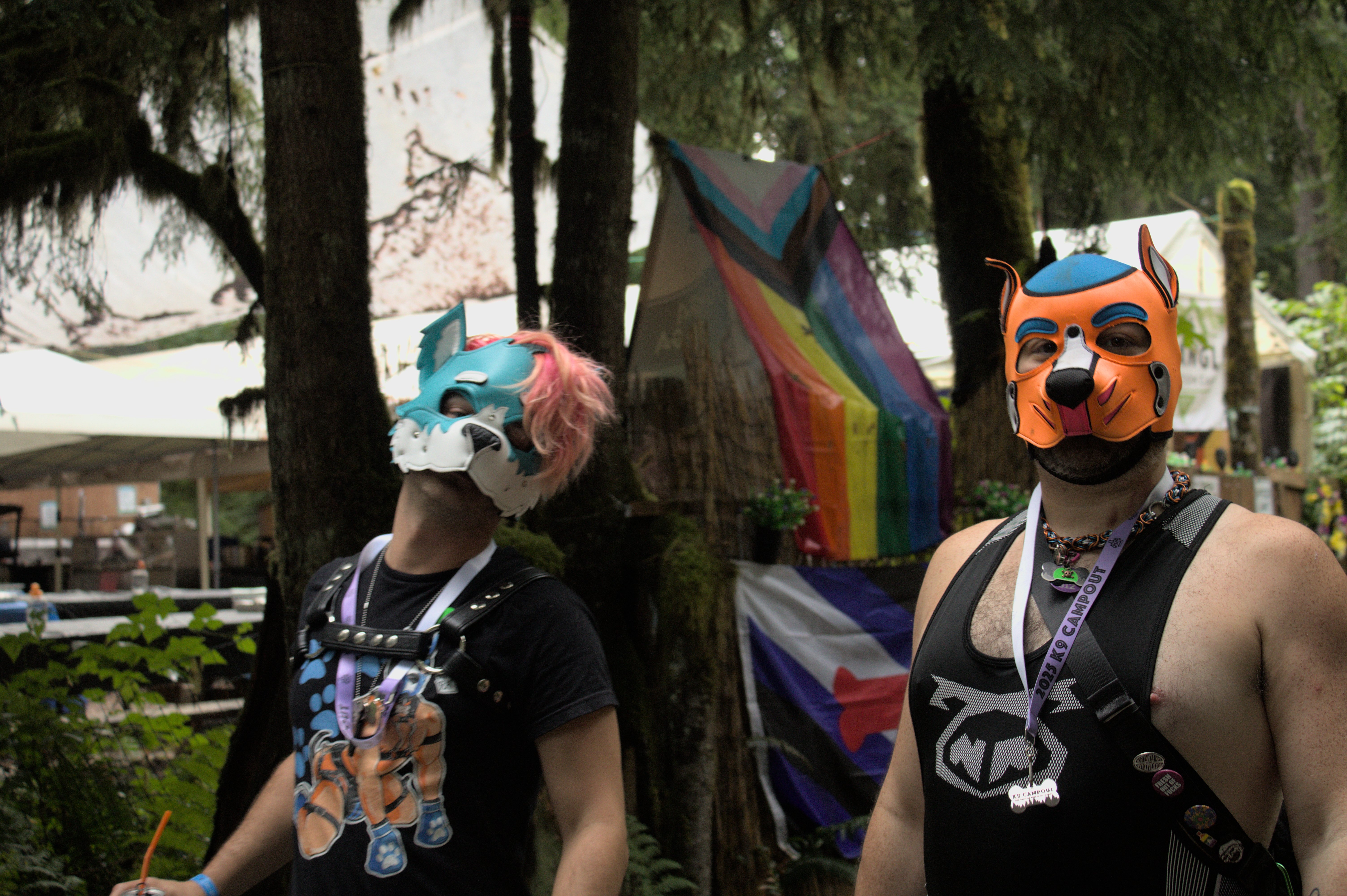 K9 2025 Bark Gallery