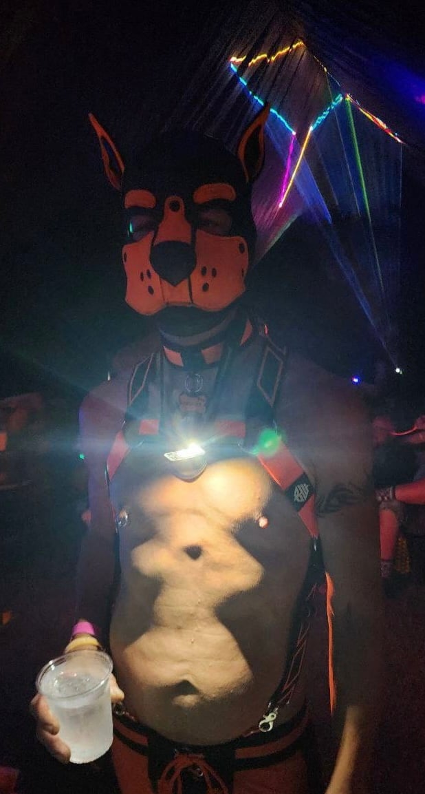 K9 2024 Bark Gallery