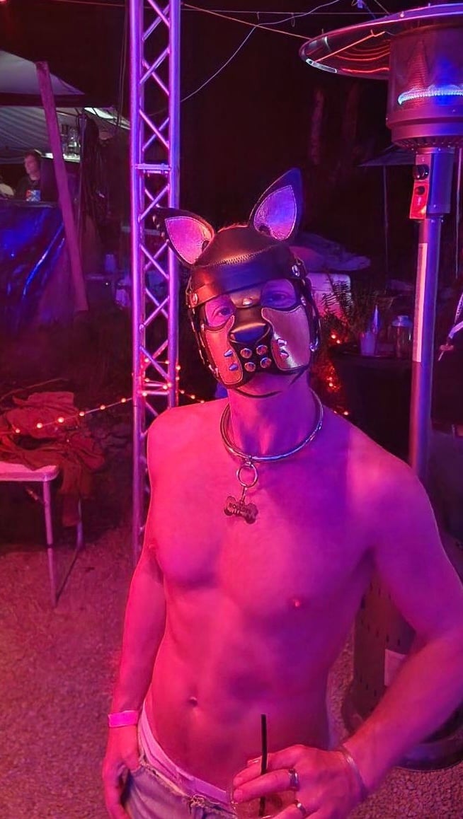 K9 2024 Bark Gallery