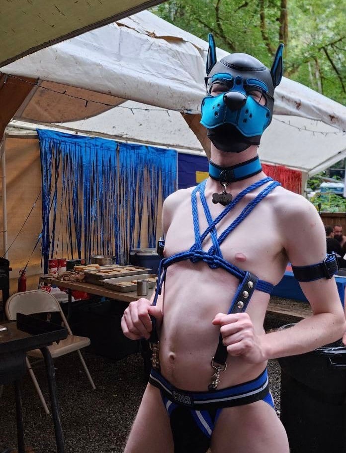 K9 2024 Bark Gallery
