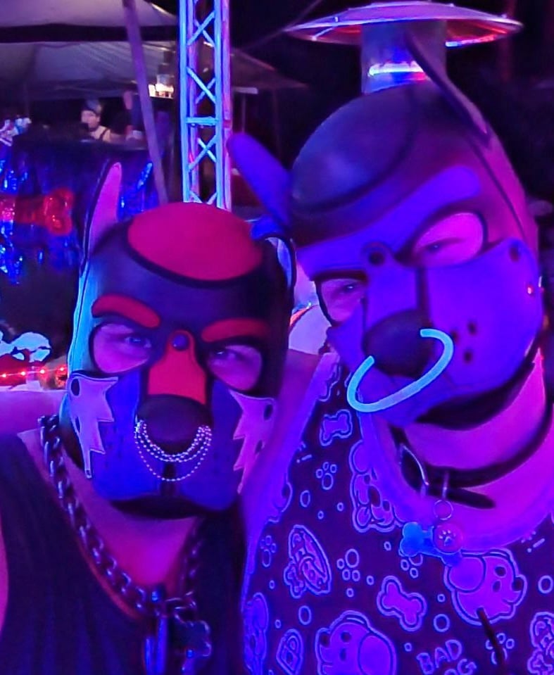 K9 2024 Bark Gallery