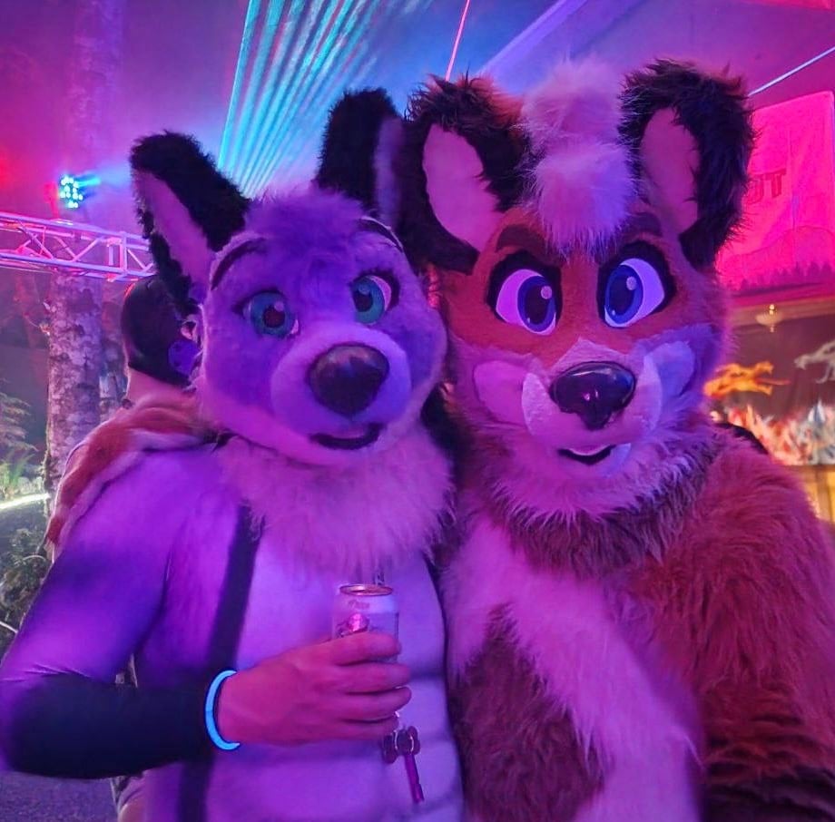 K9 2024 Bark Gallery