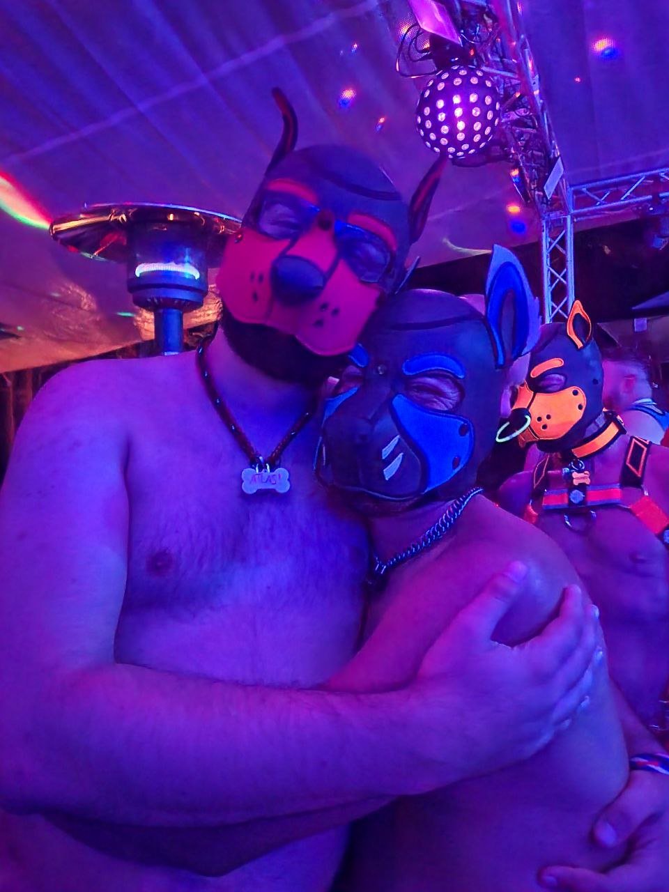 K9 2024 Bark Gallery